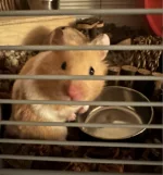 Screenshot 2026-04-27 at 21.40.58.webp