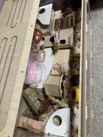 IMG_3634.webp IMG_3634.webp