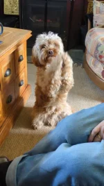 IMG-20260505-WA0000.webp