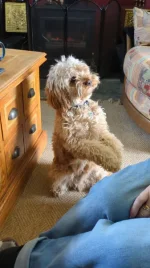 IMG-20260505-WA0001.webp