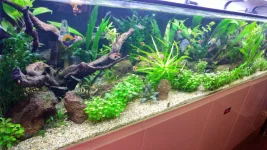 IMG-20260628-WA0002.webp