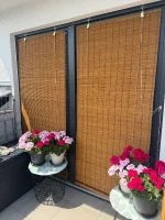 IMG_1524.webp IMG_1524.webp