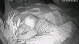IMG-20260707-WA0001.webp