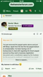 SocksMum2.webp