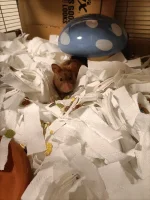 IMG20260801193145.webp