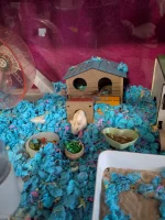 1000002326.webp