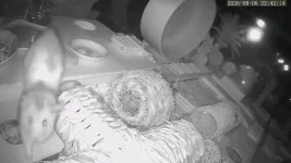 vlcsnap-2026-08-07-09h26m27s885.webp