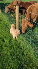 IMG-20260924-WA0000.webp