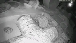 vlcsnap-2026-09-23-08h53m35s732.webp