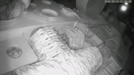 vlcsnap-2026-09-24-10h03m21s235.webp