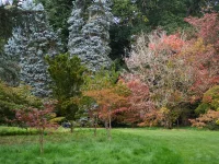 PA011029.webp PA011029.webp
