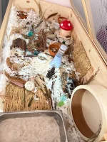 IMG_0674.webp IMG_0674.webp