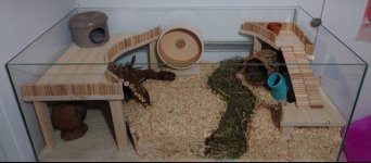 Dowels.jpg