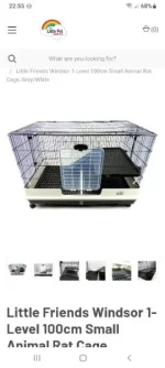 Screenshot_20230412-225557_Samsung Internet.webp Screenshot_20230412-225557_Samsung Internet.webp