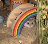 0DE80D1F-4241-4645-BF0F-F7D8A3630590.jpeg 0DE80D1F-4241-4645-BF0F-F7D8A3630590.jpeg