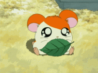 giphy (2).gif