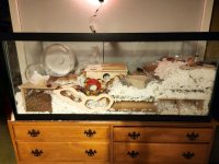 Dango's Enclosure .jpg