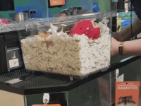 20230416_221039.gif