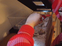20230416_221205.gif