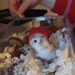 20230416_231931.gif