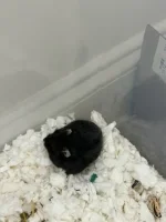 IMG_1053.jpg IMG_1053.jpg