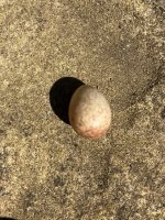 IMG_0178.jpeg