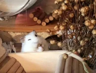 20230420_131634.jpg 20230420_131634.jpg