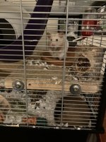 IMG_0479.jpeg