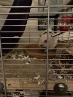 IMG_0480.jpeg