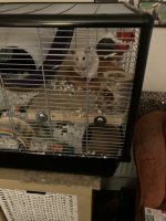 IMG_0478.jpeg