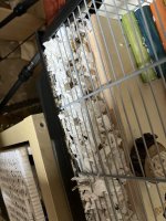 IMG_0483.jpeg
