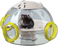Hamster lab.webp
