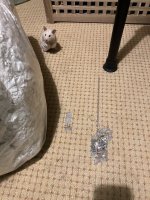 IMG_0503.jpeg