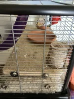 IMG_0566.jpeg