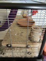IMG_0566.jpeg
