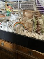 IMG_0568.jpeg