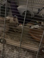 IMG_0573.jpeg