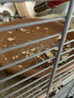 IMG_0574.jpeg