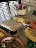 IMG_0575.jpeg