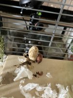 IMG_0576.jpeg