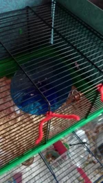 20230510_185206.webp
