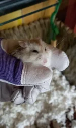 20230512_143303.webp 20230512_143303.webp