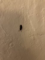 IMG_0582.jpeg