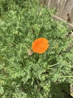 IMG_0200.jpeg