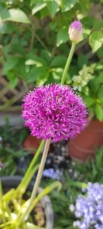IMG_20230518_092128.jpg