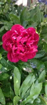 IMG_20230518_092043.jpg