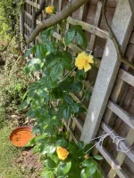 IMG_0204.jpeg