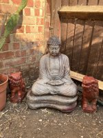 IMG_0206.jpeg