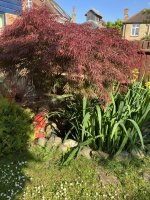 IMG_0208.jpeg