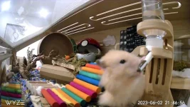 D03F275F68E5_1685760415376.webp